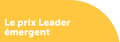 Header image that reads "The Emerging Leader Award"